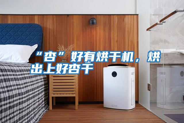 “杏”好有烘干機，烘出上好杏干