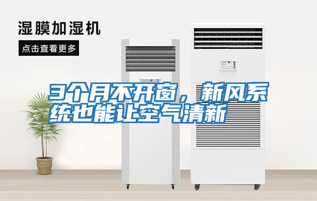3個月不開窗，新風系統也能讓空氣清新