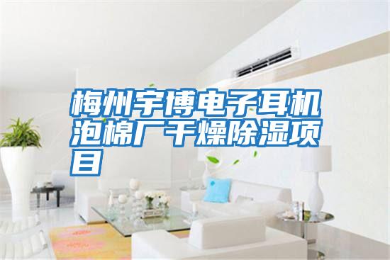 梅州宇博電子耳機(jī)泡棉廠干燥除濕項目
