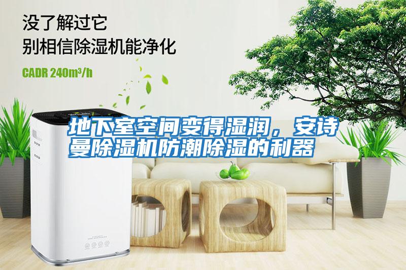地下室空間變得濕潤，安詩曼除濕機防潮除濕的利器