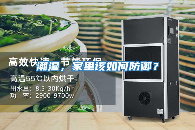 潮濕，家里該如何防御？
