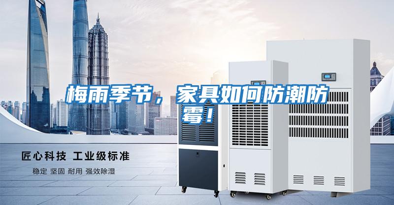 梅雨季節，家具如何防潮防霉！
