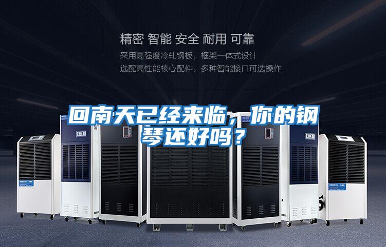 回南天已經來臨，你的鋼琴還好嗎？