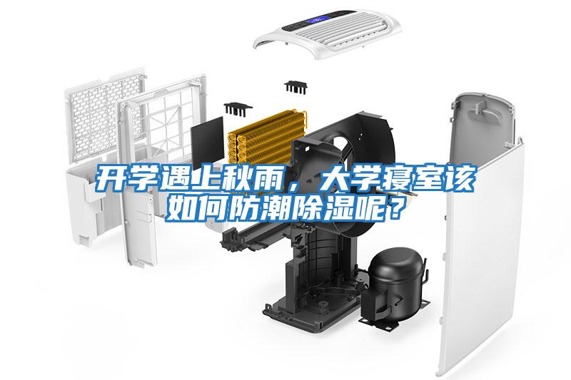 開學遇上秋雨，大學寢室該如何防潮除濕呢？