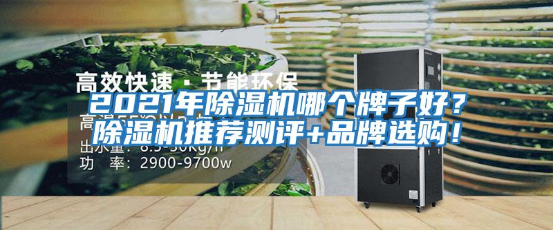 2021年除濕機哪個牌子好？除濕機推薦測評+品牌選購！