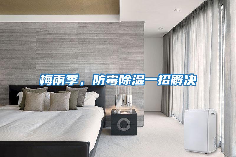 梅雨季，防霉除濕一招解決