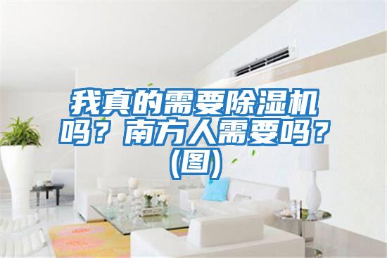 我真的需要除濕機嗎？南方人需要嗎？(圖)