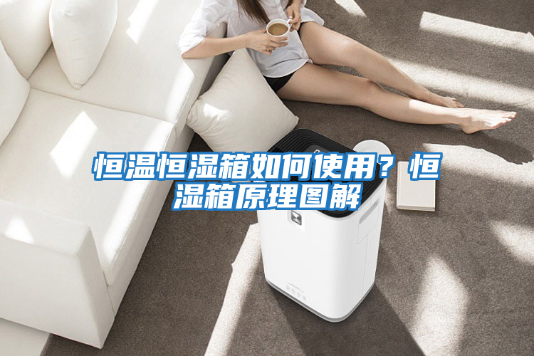恒溫恒濕箱如何使用？恒濕箱原理圖解