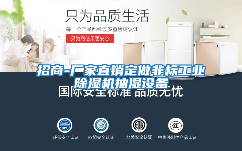 招商-廠家直銷(xiāo)定做非標(biāo)工業(yè)除濕機(jī)抽濕設(shè)備