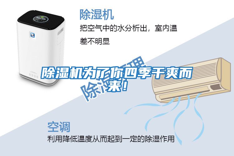 除濕機(jī)為了你四季干爽而來！
