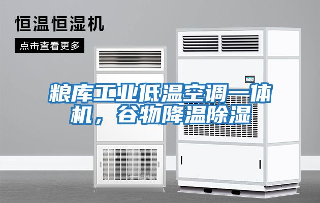糧庫工業(yè)低溫空調(diào)一體機(jī)，谷物降溫除濕