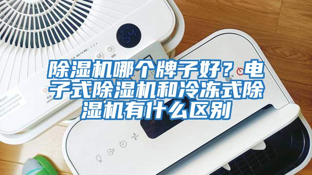 除濕機哪個牌子好？電子式除濕機和冷凍式除濕機有什么區別