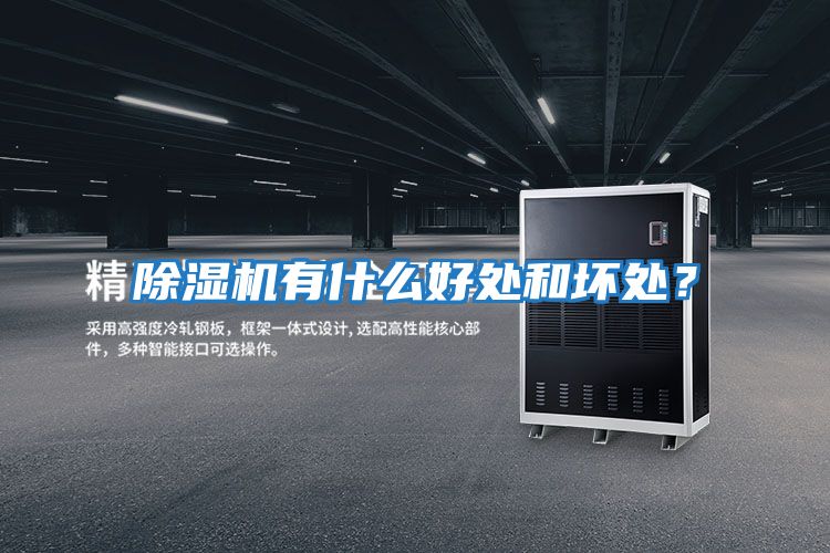 除濕機有什么好處和壞處？