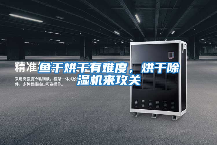 魚干烘干有難度，烘干除濕機來攻關