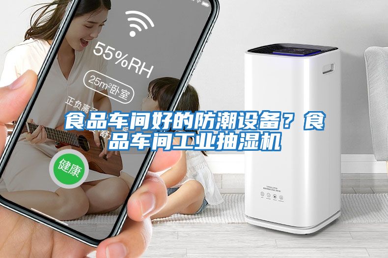 食品車間好的防潮設備？食品車間工業抽濕機