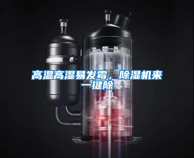 高溫高濕易發霉，除濕機來一鍵除