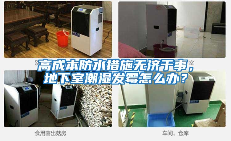 高成本防水措施無濟于事，地下室潮濕發霉怎么辦？