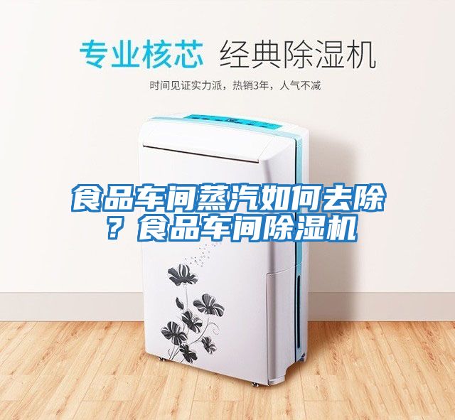 食品車間蒸汽如何去除？食品車間除濕機
