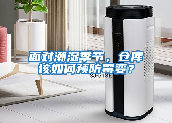 面對潮濕季節(jié)，倉庫該如何預防霉變？