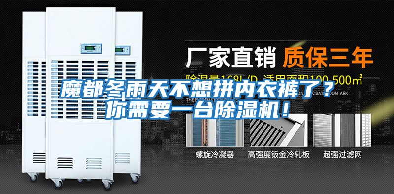 魔都冬雨天不想拼內衣褲了？你需要一臺除濕機！